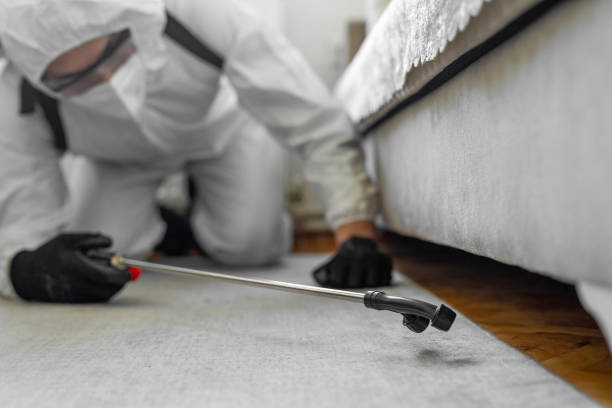 Professional Bed Bug Control technician working in Hoisington, KS