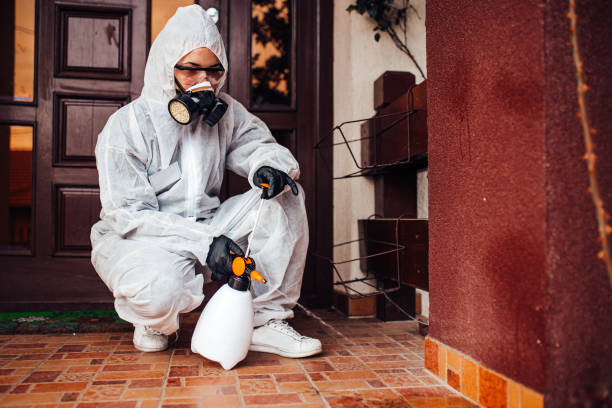Reliable Bed Bug Control contractor in Hoisington, KS by Nex Pest Control